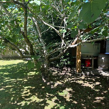 Jolie Maison Le Teich Bassin Park/Wifi Exterior foto